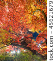 新潟秋彥秋葉公園 45621679