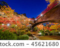 新潟秋彥秋葉公園 45621680