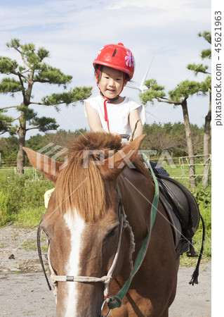 Pony, horseback riding, infant, children, baby, baby Pony, horseback riding, infant, children, baby, baby 45621963