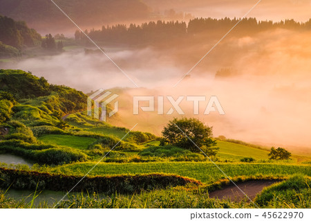 Terraced rice terrace (morning view) 45622970