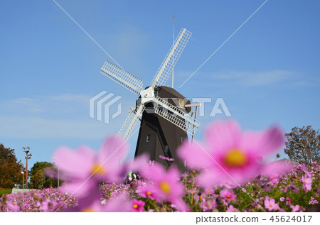 Windmill Hill 45624017