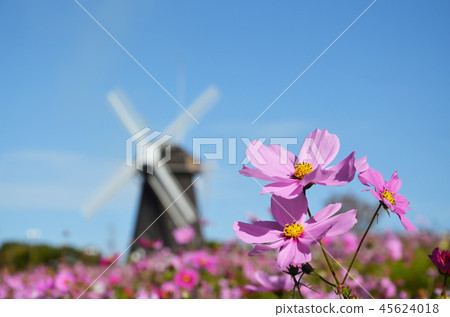 Windmill Hill Windmill Hill 45624018