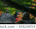 秋葉和石燈籠 45624054