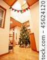入口與一棵大聖誕樹 45624120