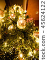 我點亮了聖誕樹 45624122