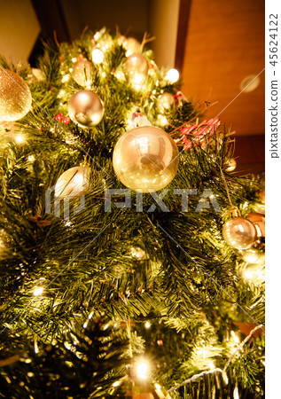 我點亮了聖誕樹 45624122