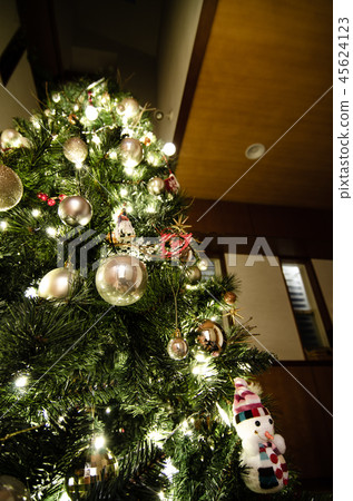 我點亮了聖誕樹 45624123