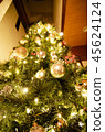 我點亮了聖誕樹 45624124