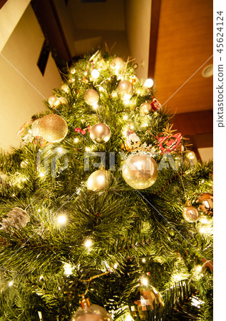 I Lit Up The Christmas Tree Stock Photo 45624124 Pixta I Lit Up The Christmas Tree Stock