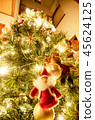 我點亮了聖誕樹 45624125