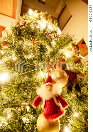 我點亮了聖誕樹 45624125