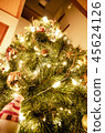 我點亮了聖誕樹 45624126