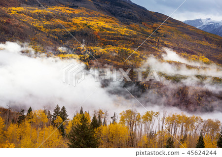 Autumn in Colorado Autumn in Colorado 45624244