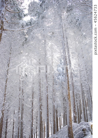 Mt.Mimine在冬天 45624733