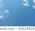 在天空中飛翔 45624914