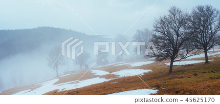 the last days of winter in the mountains of Ukraine, thick fog. Carpathians. the last days of winter in the mountains of Ukraine, thick fog. Carpathians. 45625170