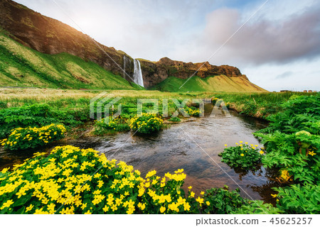 Seljalandfoss waterfall at sunset. Bridge over the river. Fantastic nature. Iceland 45625257