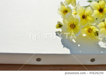 Winter cosmos and canvas Winter cosmos and canvas 45626230