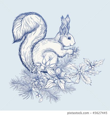 Squirrel on a Christmas wreath Squirrel on a Christmas wreath 45627445