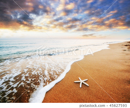 Starfish on the beach. Romantic composition Starfish on the beach. Romantic composition 45627593