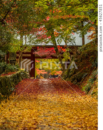 Sekiganji Temple of Autumn Leaves Sekiganji Temple of Autumn Leaves 45627851