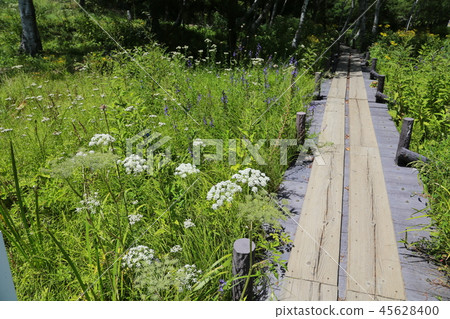 Mt. Inuka Mt. Inuka 45628400