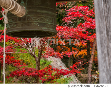 Hakuto-ji秋葉的寺廟 45628522