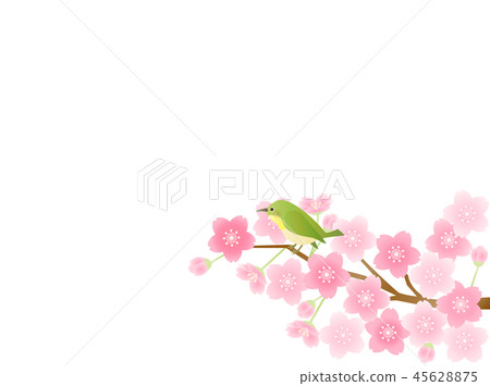 Sakura 20 Cherry blossoms and birds 45628875