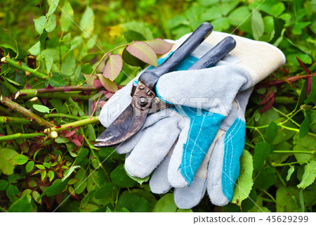 Garden gloves with secateurs for working 45629299