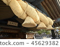 出雲大社神社 45629382
