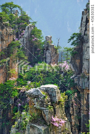 Zhangjiajie mountains, China 45630381