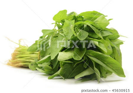 Fresh Chinese spinach isolated Fresh Chinese spinach isolated 45630915
