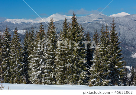 Winter snowy Carpathian mountains, Ukraine 45631062