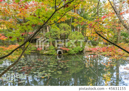 Tensenan秋葉 45631155