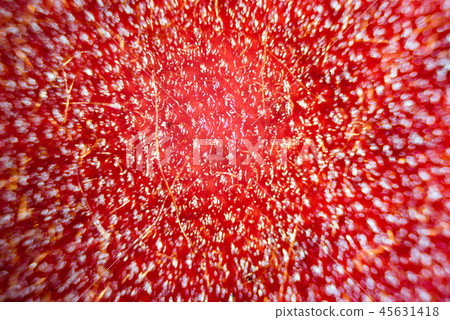 Microscope image of violet flower petal cells Microscope image of violet flower petal cells 45631418