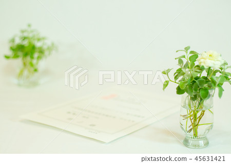 完成證書畢業圖像Helixam Petiolere的分水嶺 完成證書畢業圖像Helixam Petiolere的分水嶺 45631421