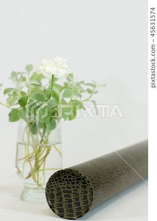 畢業圖像證書圓筒和綠色Helixam Petiolere 45631574