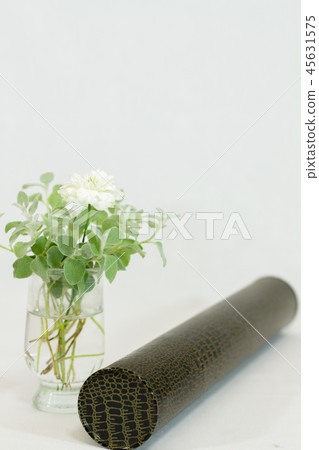 畢業圖像證書圓筒和綠色Helixam Petiolere 45631575