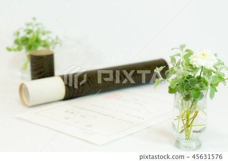 畢業圖像證書圓筒和綠色Helixam Petiolere 畢業圖像證書圓筒和綠色Helixam Petiolere 45631576