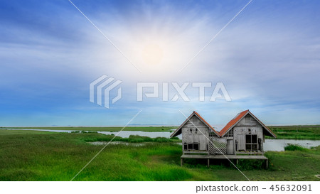 Twin old house is abandons on wetland 45632091