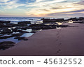 Dog track on sand by rocky shore at great sunset 45632552