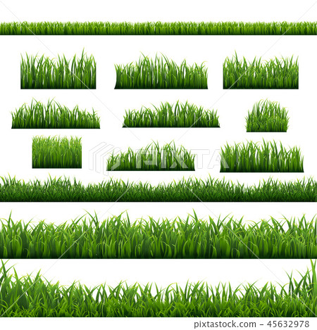 Green Grass Panorama White Background 45632978