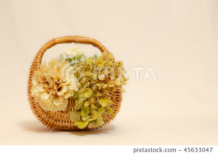 Dried flowers in the moss Hydrangea hydrangea Dried flowers in the moss Hydrangea hydrangea 45633047