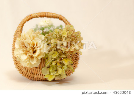 Dried flowers in the moss Hydrangea hydrangea 45633048