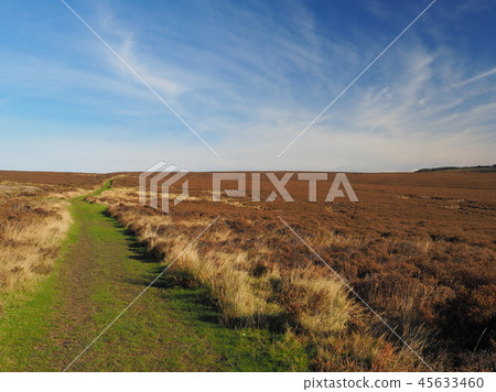 Vista of the moors under wispy clouds Vista of the moors under wispy clouds 45633460