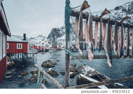 Drying stockfish cod in Nusfjord fishing village in Norway Drying stockfish cod in Nusfjord fishing village in Norway 45633812