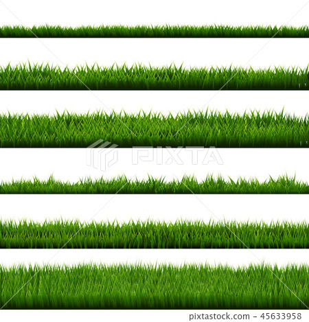Green Grass Border Big Collection 45633958