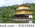 Kinkakuji August 3 45634848