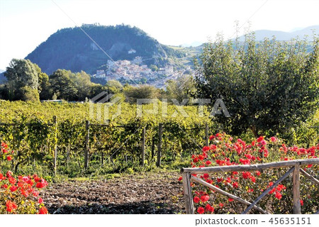 Castel di Sangro Castel di Sangro Castel di Sangro Castel di Sangro 45635151