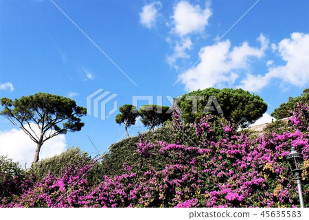 Rome Villa Borghese Park Rome Villa Borghese Park 45635583
